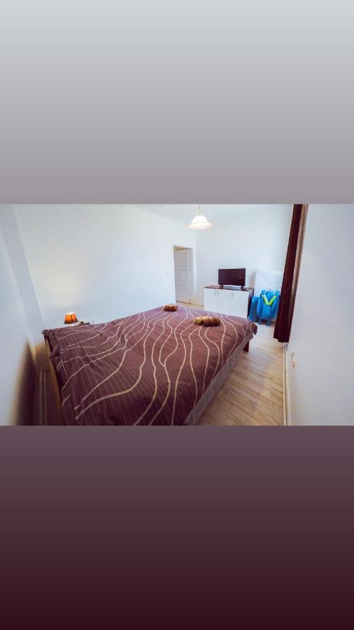 Apartmani Trajkovic Soko Banja Exterior foto